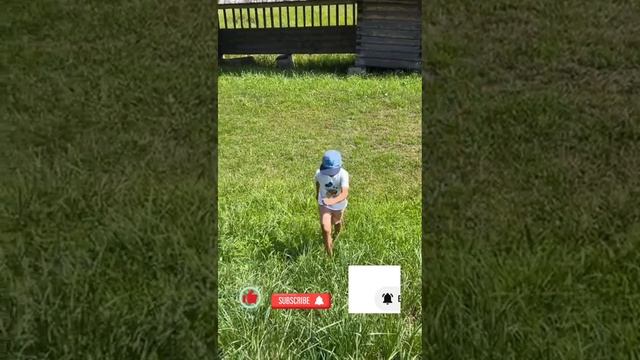 приключения сборник