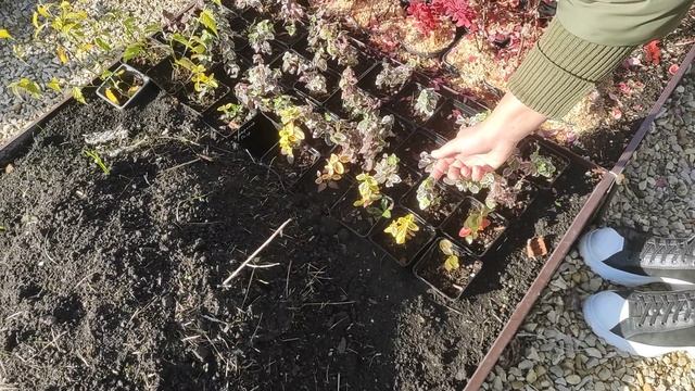 Осенняя прогулка по саду.