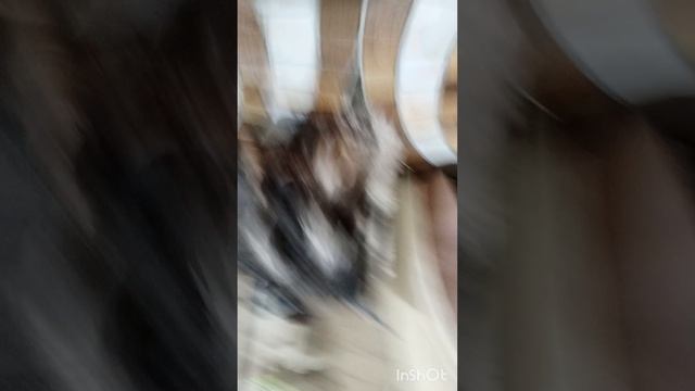 Супер Фëдор
