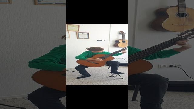 Лендлер  К.Мерц