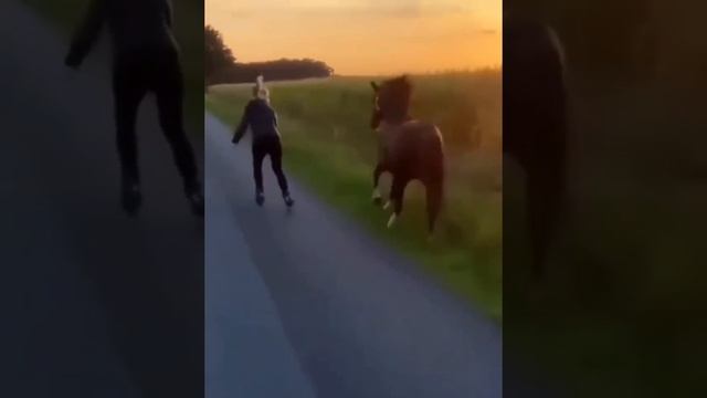 Доброе утро! Навстречу солнцу)