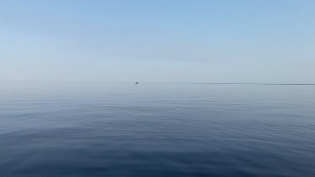 Окунь в июле. База Ситинка на Рыбинском водохранилище
