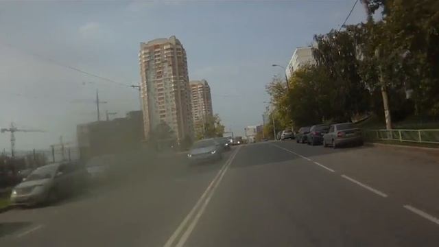 Насекомые: ДТП со смертельным исходом (2011-09-20)