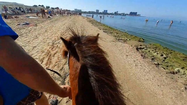 Катаюсь на пони Ромео в Анапе