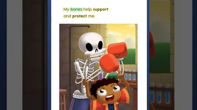 My bones