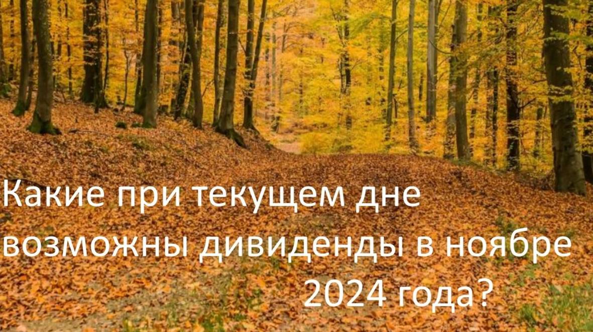 Какие при текущем дне возможны дивиденды в ноябре 2024 года?