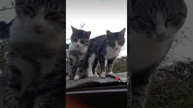 1000119507.mp4