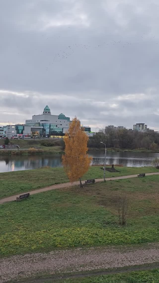 29.10.24 ⏰7:30 город Тверь заряжаемся энергией и мотивируемся на весь день скандинавской ходьбой!