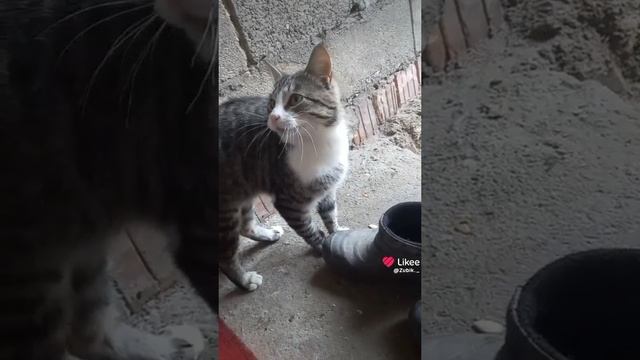 1000119678.mp4