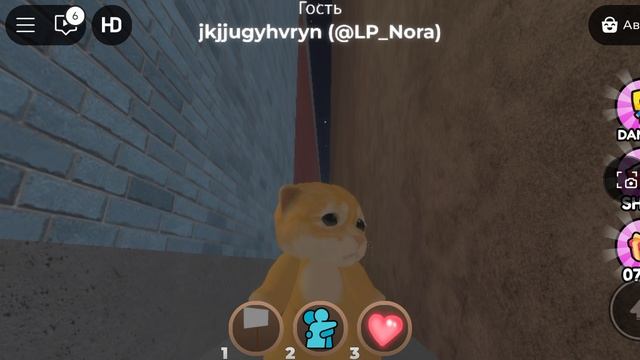 котик но это не настоящий скин