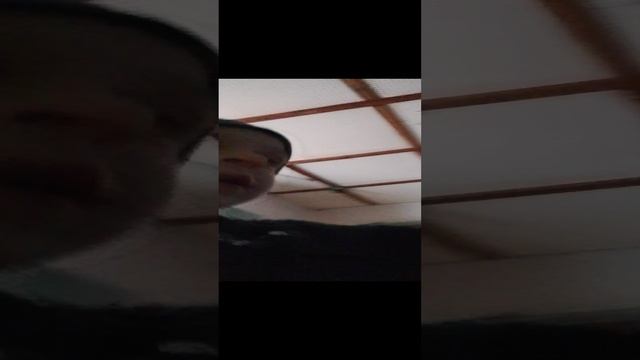 про животных