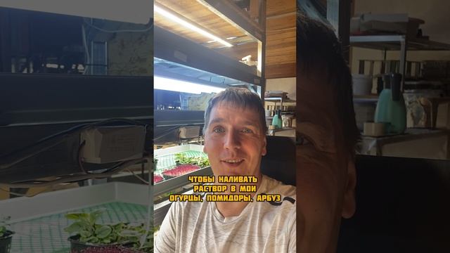 Что заказывают мужчины на wb