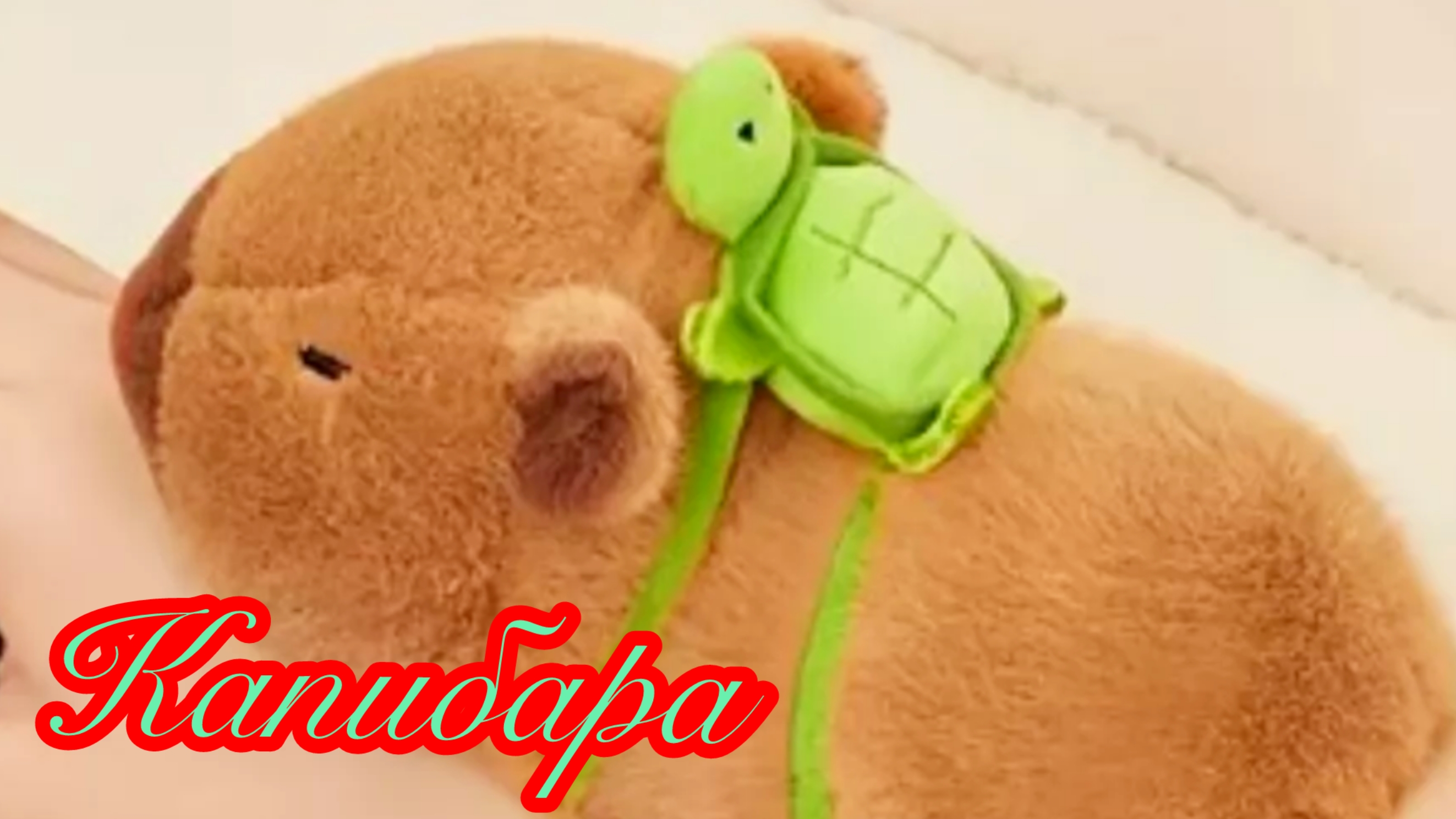 Capybara. Капибара игрушка на руку #capybara #игрушки #капибаратоп