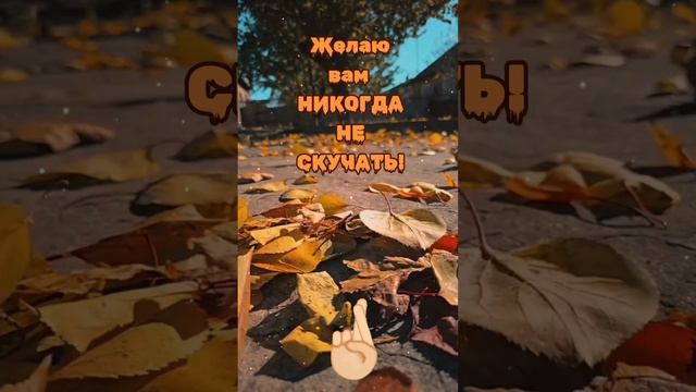 И вам не скучать✌️