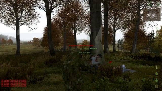 Arma II: DayZ - Admin(s) Killed, Server Shutdown