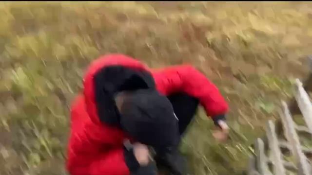 ОТРАДОВСКАЯ БИТВА ЭКСТРАСЕНСОВ 
2 СЕЗОН 1 СЕРИЯ