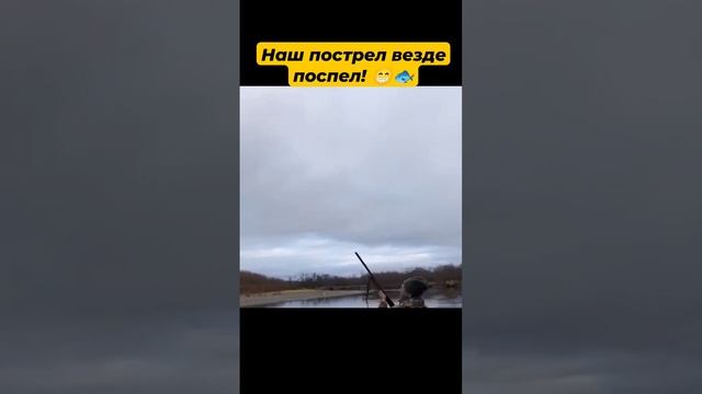 Наш пострел везде поспел!