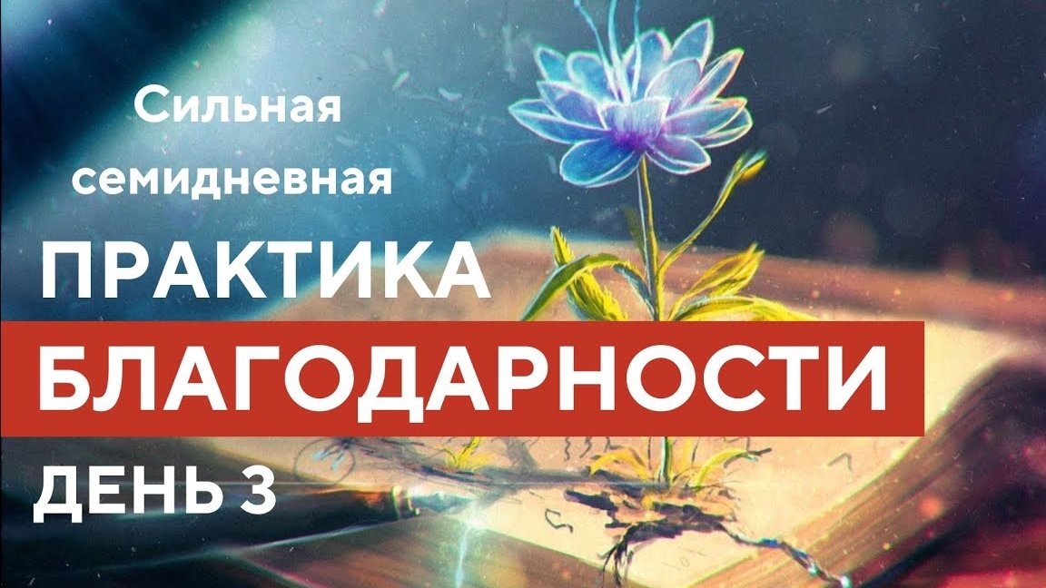 БЛАГОДАРНОСТЬ ВСЕМ ЛЮДЯМ, УЧИТЕЛЯМ. ДЕНЬ 3