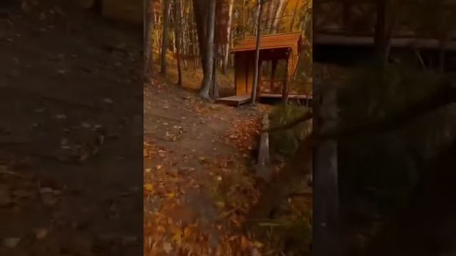 Черепашье Озеро без черепах  Они бывают здесь только летом.