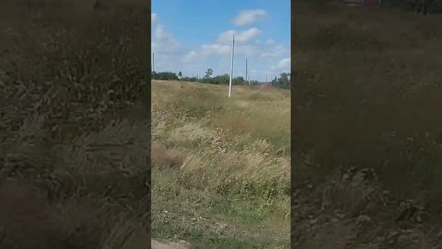 Далекое далеко
