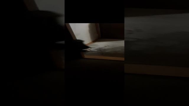 LARGE SPEAKERMAN AND TOXIC GUN AND ASTRO LASER