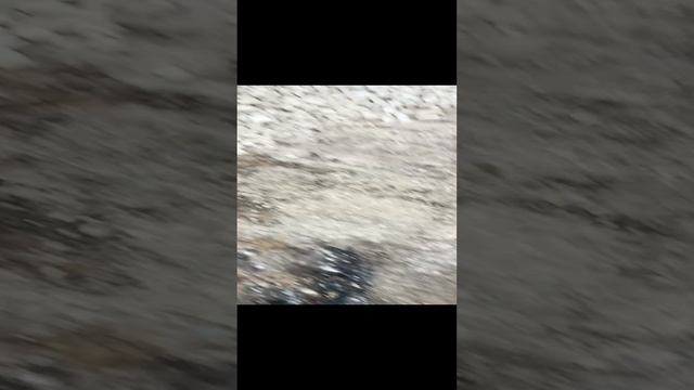 Я иду домой со школы