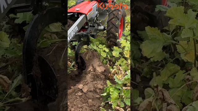 Мотоблок Kubota RT плуг, дисковый плуг, борона, грунтозацепы 270.000 с прицепом 370.000₽ #мотоблок