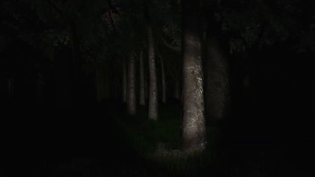 Slender - Horror so smislom