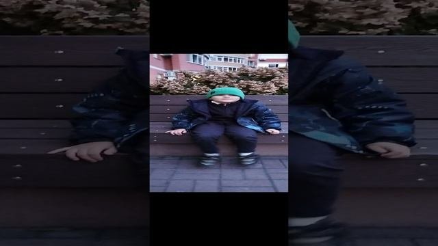 где мойрысь