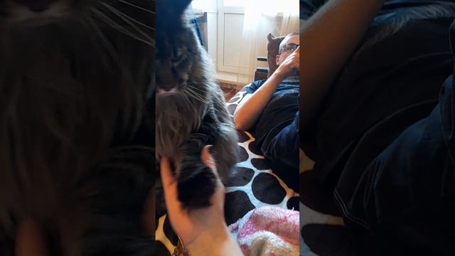 ЭТО ВОПЛОЩЕНИЕ ЗЛА👹😾