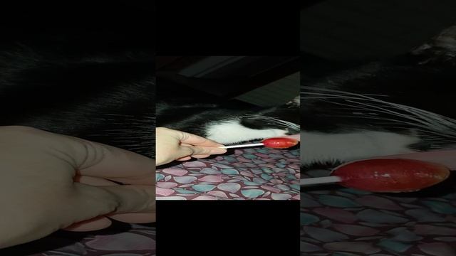 1000052919.mp4