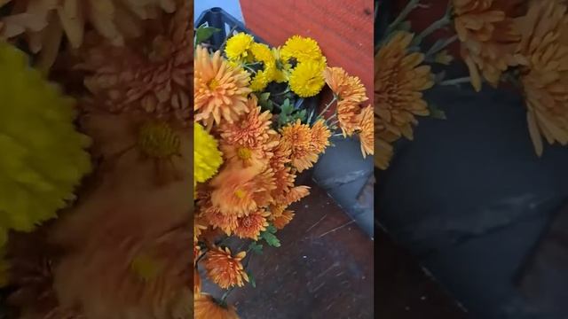 Последний день октября