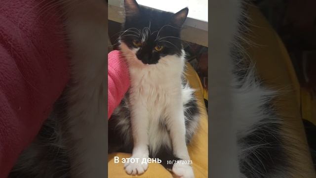 Вмем прекрасного прододжения недели! 
#ВэтотДень