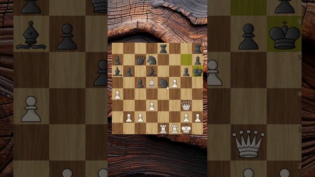 БЕЛЫЕ ОПЯТЬ ЖЕРТВУЮТ И ПОБЕЖДАЮТ!!