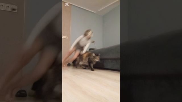 .........