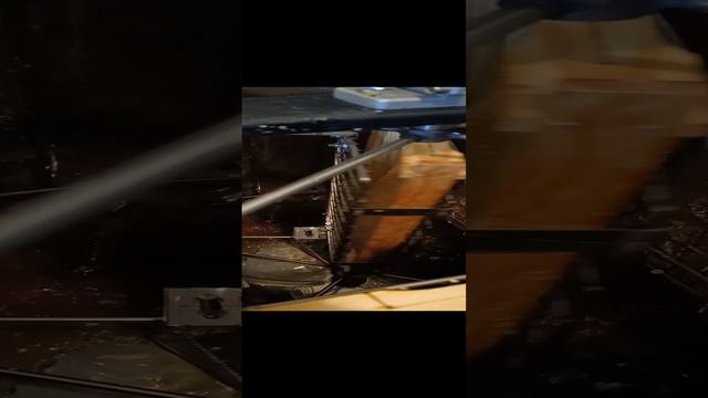 самый вкусный и полезный мёд на свете