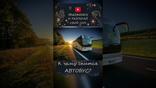 К чему снится автобус?