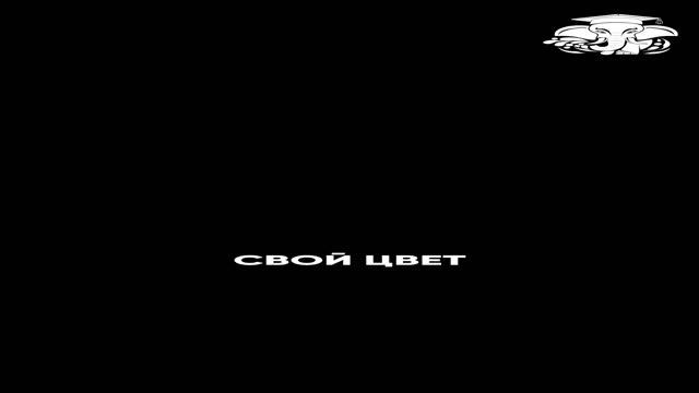 Что такое лакмусовая бумага?