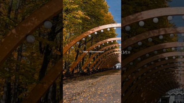 5 мест для уютных прогулок в Москве 🍂