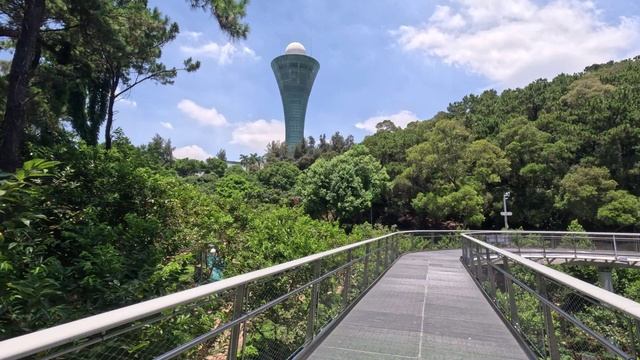 Китай, Сямен (Xiamen), Jul 2024, Huweishan Atmosphere Theme Park, Sea Pearl Tourist Tower