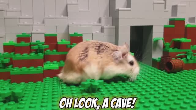 BRAVE HAMSTER vs EVIL CAT in LEGO MINECRAFT