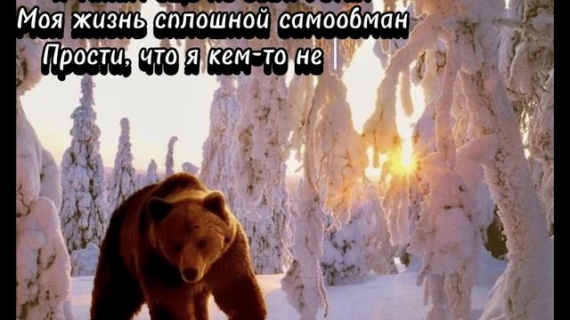 Короткое видео. Начало