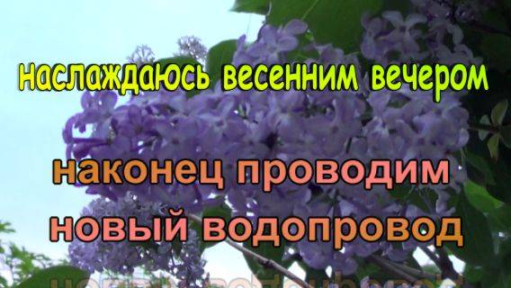 № 832 наслаждаюсь весенним вечером // наконец проводим новый водопровод