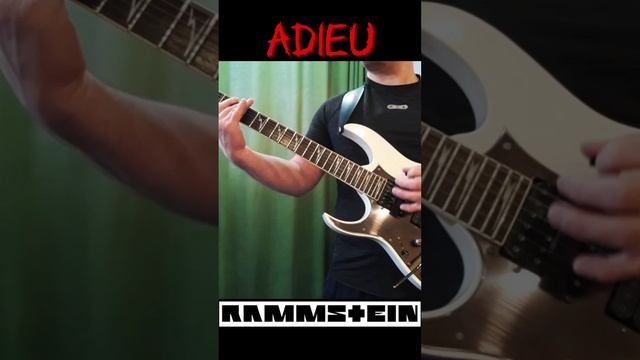 Rammstein-Adieu(Cover by VL)