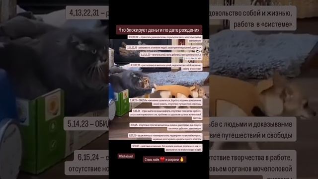 Что блокирует Ваши деньги ?ответ в видео  #shorts