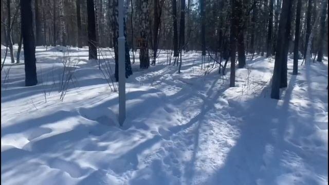 Сегодня пришло время узнать что-то новое, забыв о видах лжи, которые вы когда то посчитали за истин