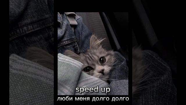 ЭТИ ПЕСНИ МОГУТ ВАМ ПОНРАВИТСЯ!) //speed up//фонк//мои любимые песни//💓💗💘💖🖤