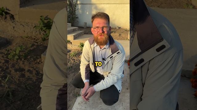 Очень важно про котиков и животных