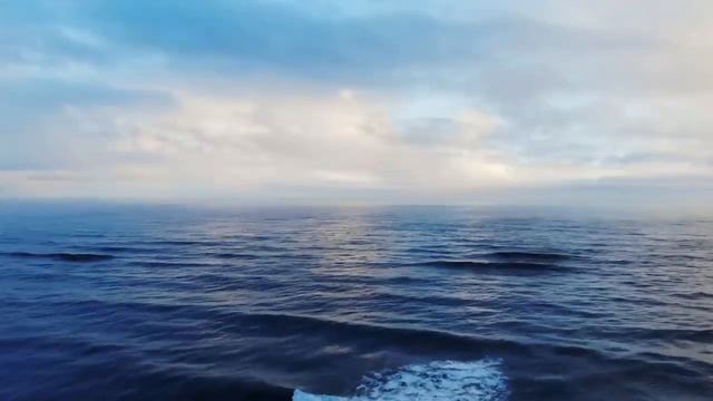 Ты можешь ВСЁ!     ТВОРИ СВОЮ РЕАЛЬНОСТЬ СИЛОЙ МЫСЛИ!