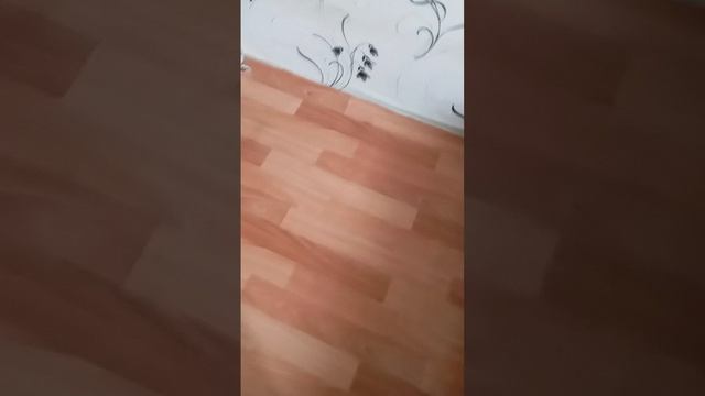 scene_output.mp4